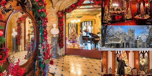 405159b9-5650-7f4c-95e3-701c15828b7e